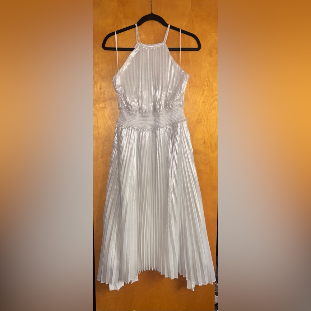 Express Silver Pleated Midi Dress